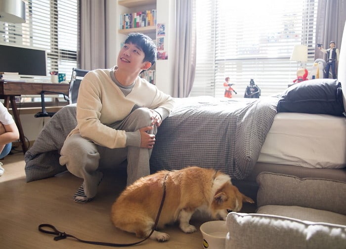 https://www.jazminemedia.com/wp-content/uploads/2017/11/Jung-Hae-In-and-dog.jpg