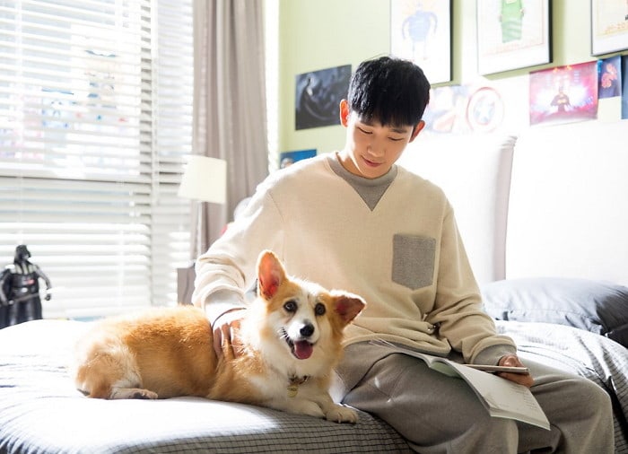 https://www.jazminemedia.com/wp-content/uploads/2017/11/Jung-Hae-In-and-dog.jpg