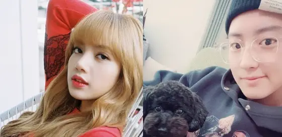 blackpink lisa surpasses exo chanyeol to the title of the most followed kpop idol instagram account - most followed kpop idol on instagram march 2019