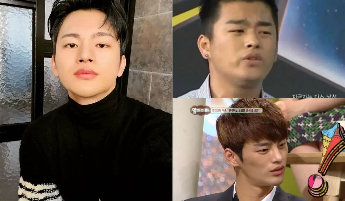 seo in guk before and after