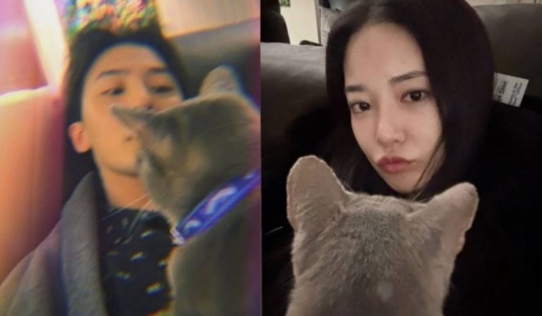 G-Dragon Denies Dating Rumors With This Idol For The 5th Time After This Happens