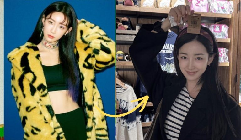 Former Kpop Idol Became A Flight Attendant, Shares Her Current Whereabouts